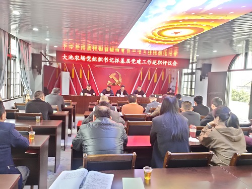 7c099ae52f451f497ddb3cf9356bde58.jpg 大池农场党支部书记述职.jpg