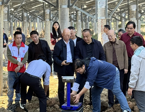 3e220963fbff585b3ae305a689842c42.png 乐动手机平台_乐动(中国)举办魔芋产业推进会3.png